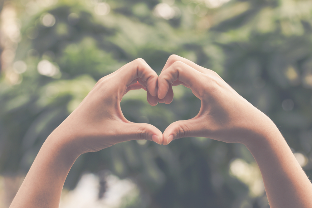 hands in the shape of a heart